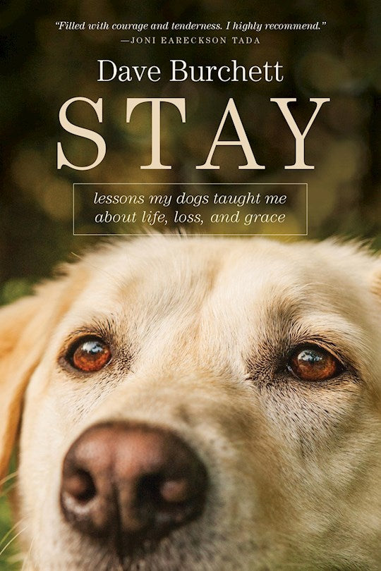 Stay-Softcover Lessons My Dog Taught Me About Life, Loss, And Grace
