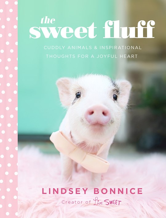 The Sweet Fluff Cuddly Animals And Inspirational Thoughts For A Joyful Heart