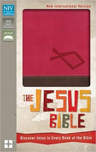 NIV, The Jesus Bible, Leathersoft, Pink/Brown, Red Letter