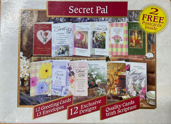Secret Pal Cards Hidden Treasures