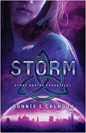 Storm - Stone Braide Chronicles Book 3